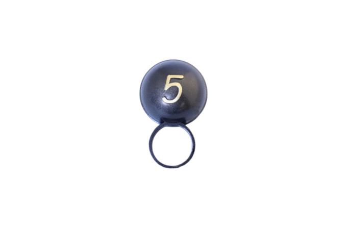 Kypsélε Collection ring No5